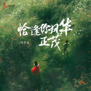 恰逢你风华正茂-陈宇杰