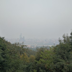 毕业以后的我们