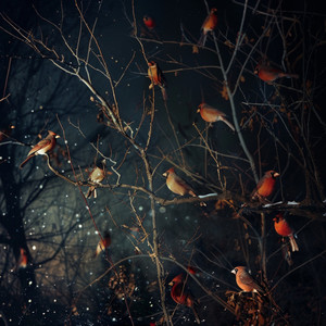 Night's Tranquil Birdsong for Sleep