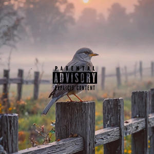 Gray Bird (Explicit)