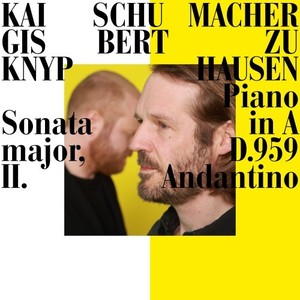 Piano Sonata in A Major, D.959 - II. Andantino