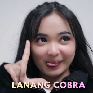 LANANG COBRA (Live)