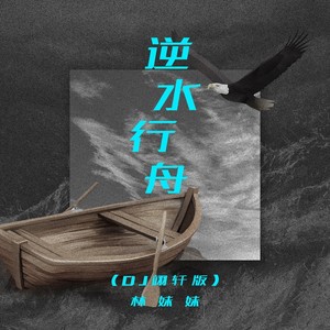 逆水行舟 (DJ翊轩版伴奏)