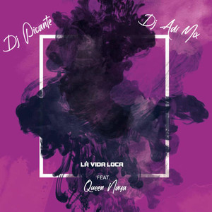 Dj Adi Mix - Lá Vida Loca