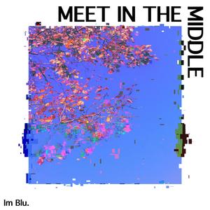 Meet in the middle
