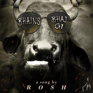 Bhains Bhaj gi