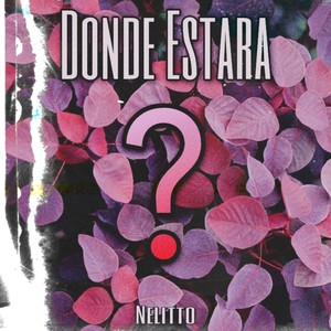 Donde Estara