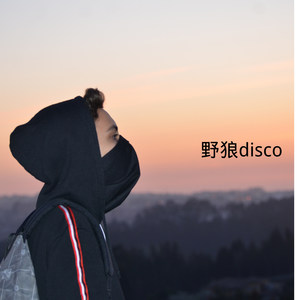 野狼disco (Remix)