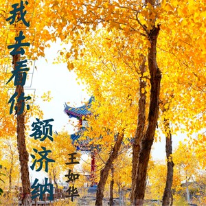 我去看你额济纳