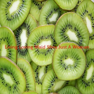 Led Zeppelin - Living Loving Maid(She's Just A Woman) (Karaoke tribute version originally performed by Led Zeppelin)