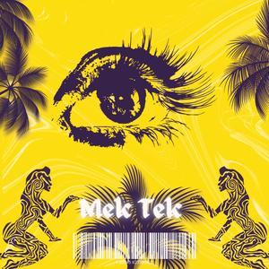Mek Tek