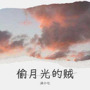 偷月光的贼