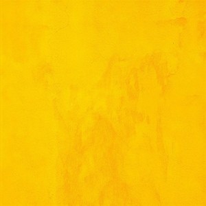 想在你身上探索宇宙的奥秘