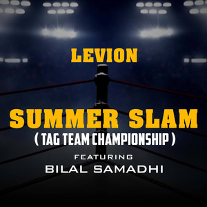 Summer Slam(Tag Team Championship)