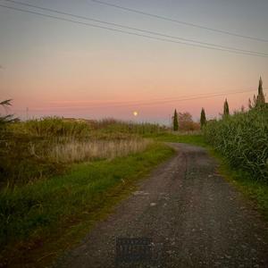 MOMENTO CLUE (Explicit)