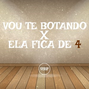 Vou Te Botando X Fica de 4 (Explicit)