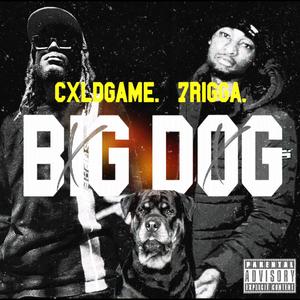 Big Dog (feat. 7rigga) [Explicit]