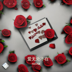 爱的璀璨人生-PHU小虎