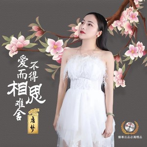 爱而不得相思难舍 (DJ佐罗版伴奏)