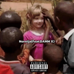 Nornija (feat. DAMM X) (Explicit)