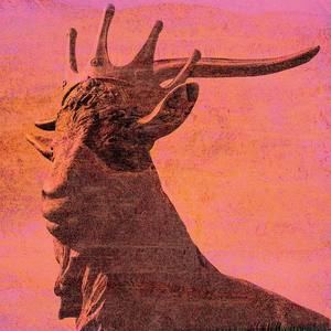 Like a Lion (Explicit)