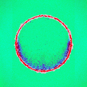 Hold up Why the **** You Still Talking? (Explicit)