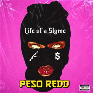 Life Of A Slyme (Explicit)