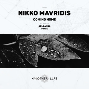 Coming Home (Tomic Remix)