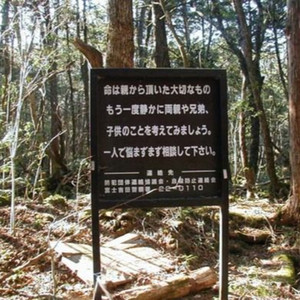 AOKIGAHARA