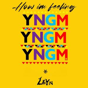 How I'm feeling(feat. Bow & Prince of the bity) (Explicit)