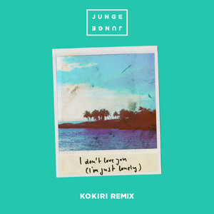 I Don't Love You (I'm Just Lonely) (Kokiri Remix / Radio Edit|Explicit)