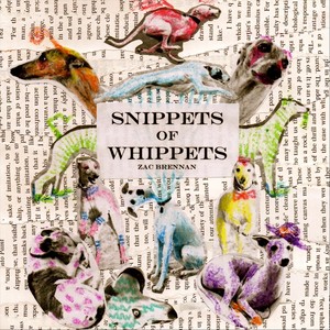 Snippets of Whippets