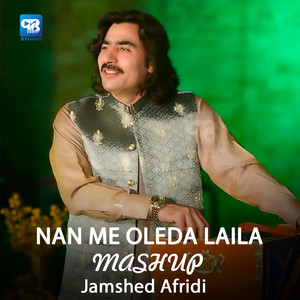 Nan Me Oleda Laila Mashup