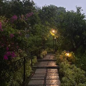 we wont be left apart (plxg mix)