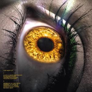 PARIS L'ÉTÉ (feat. NKP) (Explicit)