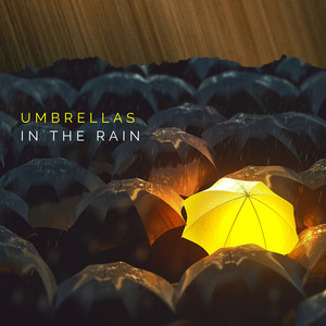 Umbrellas in the Rain