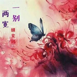 一别两宽