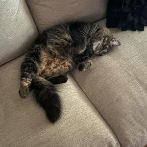 what a waste of time