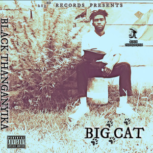 Big Cat Mixtape (Explicit)