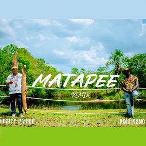 Matapee