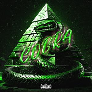 Cobra (feat. Papa Pedro) (Explicit)