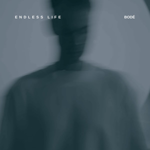 Endless Life