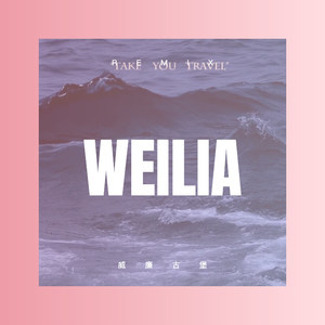 弥渡山歌 (DJ版)