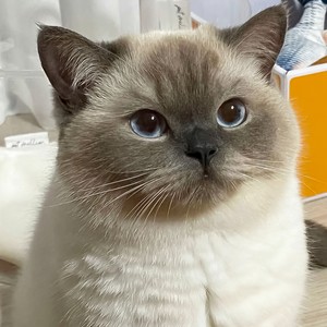 88捏捏dudu (Remix)