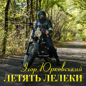 Летять лелеки