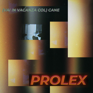 (vai in vacanza col) Cane