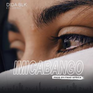Imicabango (feat. L.DeeKay)