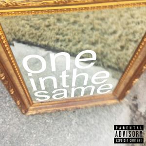 one in the same (Explicit)