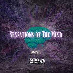 Sensations of the Mind