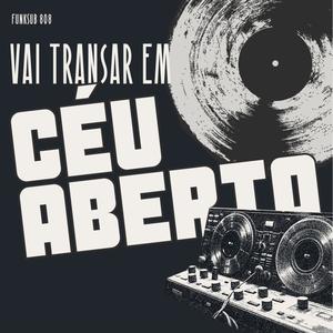 VAI TRANSAR EM CÉU ABERTO (Explicit)